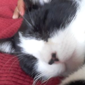 Meet your Posher, Adrian